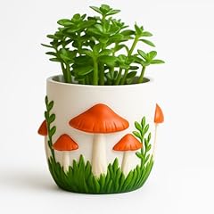 Hollishowe inch succulent for sale  Delivered anywhere in USA 