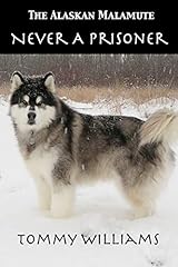 Alaskan malamute never for sale  Delivered anywhere in USA 