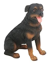Ytc rottweiler dog for sale  Delivered anywhere in USA 