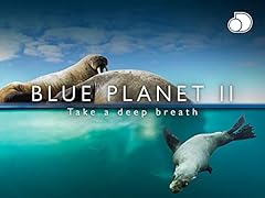 Pianeta blu usato  Spedito ovunque in Italia 