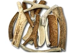 Premium large antler for sale  Delivered anywhere in USA 