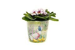 Beatrix potter peter for sale  Delivered anywhere in UK