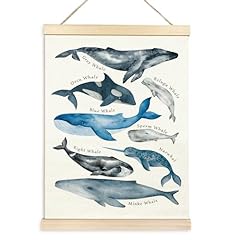 Taedin whales ocean for sale  Delivered anywhere in USA 