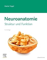 Neuroanatomie struktur funktio gebraucht kaufen  Wird an jeden Ort in Deutschland