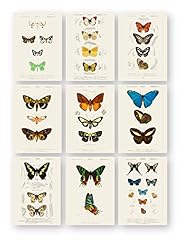 Vintage butterfly prints for sale  Delivered anywhere in USA 