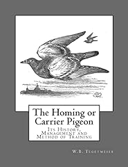Homing carrier pigeon for sale  Delivered anywhere in USA 