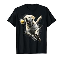 Yellow labrador retriever for sale  Delivered anywhere in USA 