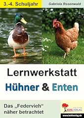 Lernwerkstatt hühner enten gebraucht kaufen  Wird an jeden Ort in Deutschland