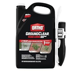 Ortho groundclear year for sale  Delivered anywhere in USA 