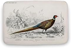 Flavas pheasant 1892 for sale  Delivered anywhere in UK