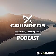 Grundfos shk radio gebraucht kaufen  Wird an jeden Ort in Deutschland