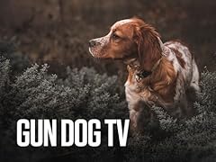 Gun dog for sale  Delivered anywhere in USA 