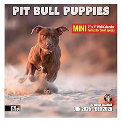 Red ember pit for sale  Delivered anywhere in USA 