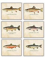 Vintage trout fish for sale  Delivered anywhere in USA 