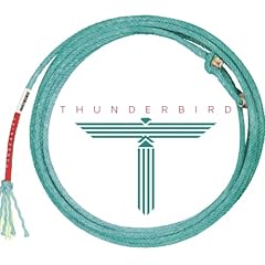Lone star thunderbird for sale  Delivered anywhere in USA 