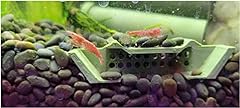 Shrimp champ ultimate for sale  Delivered anywhere in USA 