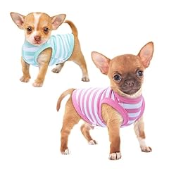 Frienperro pack chihuahua for sale  Delivered anywhere in USA 