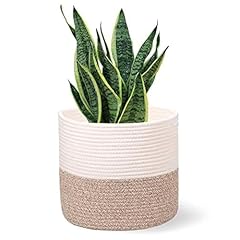 Oradrem planter baskets for sale  Delivered anywhere in USA 