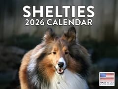 Sheltie calendar 2026 for sale  Delivered anywhere in USA 