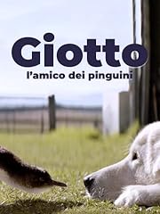 Giotto amico dei usato  Spedito ovunque in Italia 