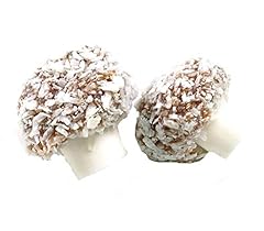 Coconut mushrooms kilo for sale  Delivered anywhere in UK
