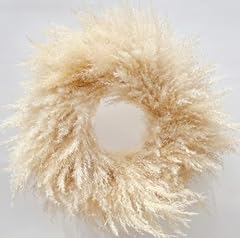 Natural pampas grass for sale  Delivered anywhere in USA 
