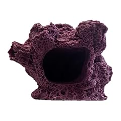 Hole barnacle cave for sale  Delivered anywhere in USA 
