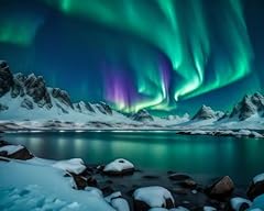 Rebotipy aurora paint for sale  Delivered anywhere in USA 