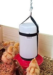 Happy chicks qt. for sale  Delivered anywhere in USA 