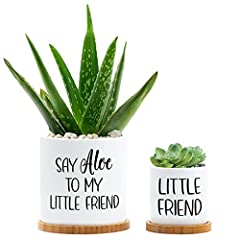 Tuitessine say aloe for sale  Delivered anywhere in USA 