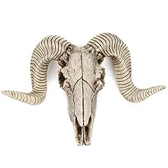 Romeeton horn skull for sale  Delivered anywhere in USA 