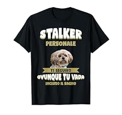 Lhasa apso cane usato  Spedito ovunque in Italia 