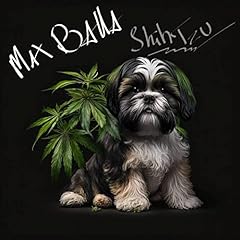 Shihtzu explicit for sale  Delivered anywhere in UK