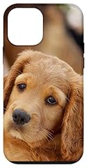 Iphone mini cocker for sale  Delivered anywhere in USA 