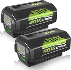 2pack 40v 6000mah for sale  Delivered anywhere in USA 