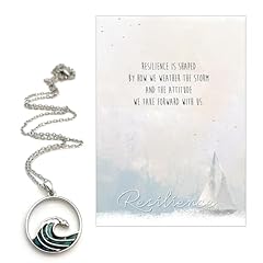 Smiling wisdom resilience for sale  Delivered anywhere in USA 