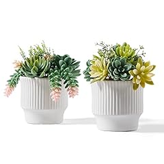 Astridia artificial succulent for sale  Delivered anywhere in USA 