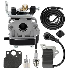 Goamotors 6696550 carburetor for sale  Delivered anywhere in USA 