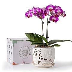 Herduk ceramic orchid for sale  Delivered anywhere in USA 