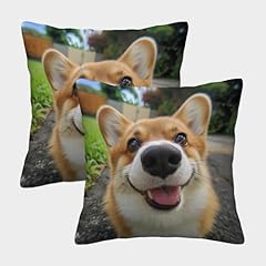 Yopdeoocr corgi square for sale  Delivered anywhere in UK