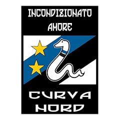 Gamesmonkey poster ultras usato  Spedito ovunque in Italia 