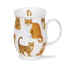 Cats ginger cats for sale  Delivered anywhere in UK
