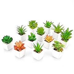 Woodword faux succulents for sale  Delivered anywhere in USA 