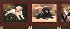 Red framed lab for sale  Delivered anywhere in USA 