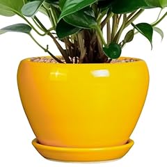 Ceramicfor ceramic pot for sale  Delivered anywhere in USA 