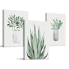 Mhartk66 aloe vera gebraucht kaufen  Wird an jeden Ort in Deutschland