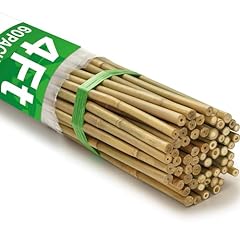 Taoskai 60pcs bamboo for sale  Delivered anywhere in USA 