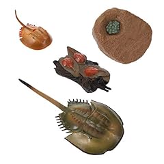 Zerodeko horseshoe crab for sale  Delivered anywhere in USA 
