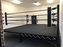 Mma professional ring for sale  Delivered anywhere in USA 