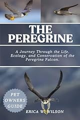 Peregrine journey life for sale  Delivered anywhere in USA 
